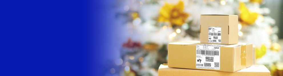 Holiday shipping success starts with planning ahead.